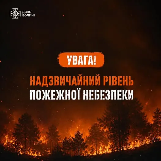 Надзвичайний рівень небезпеки: ДСНС попереджає про лісові пожежі