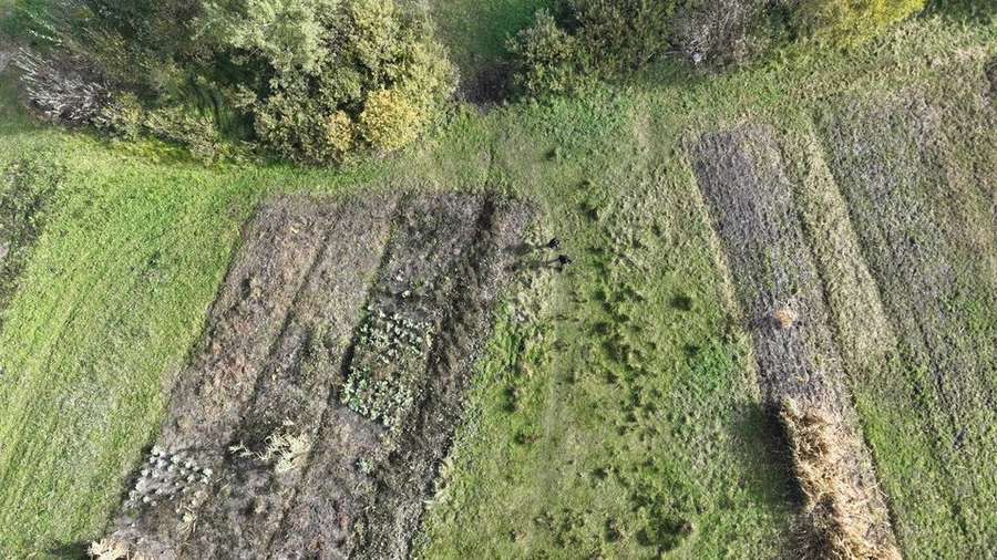 У лісі на Волині знайшли мертвим зниклого кілька діб тому чоловіка (фото)