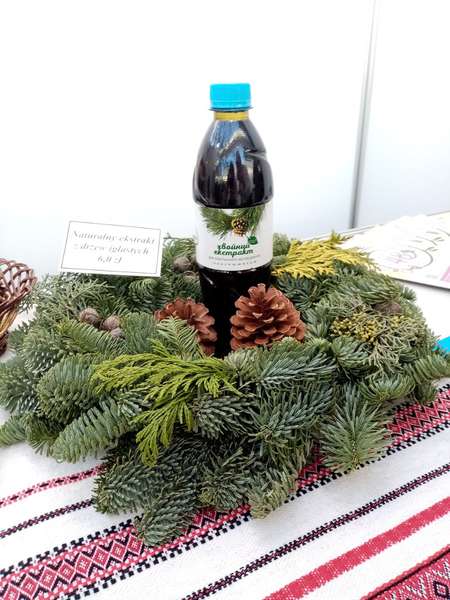Продукцію з волинських лісів представили на міжнародному ярмарку (фото)