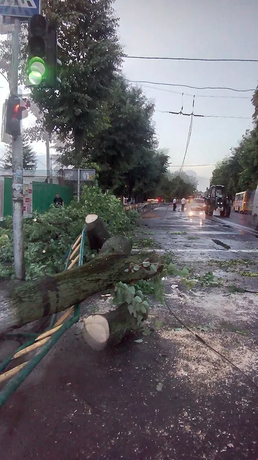 Що наробила негода в Луцьку  (фото, відео)