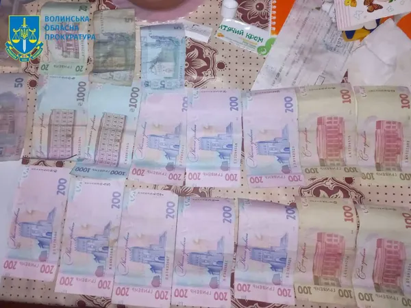Волинянина взяли під варту за оборудки з психотропами (фото)