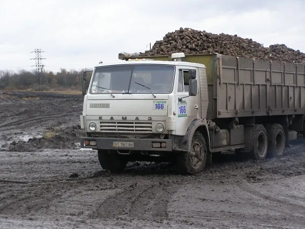 На Волині штрафують за забруднення автошляхів