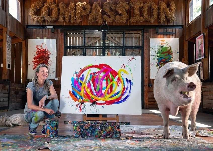 Померла свиня-художниця на імʼя Пігкассо. Вона заробила більше мільйона доларів