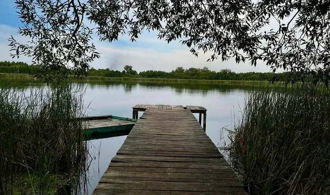 І порибалити, і покупатися: показали ще одне затишне озеро на Волині (фото)