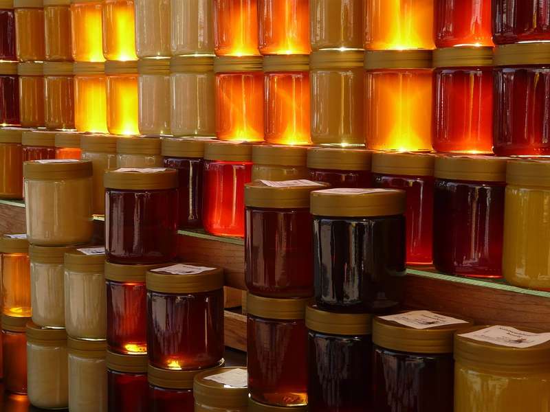 Як вибрати натуральний мед: поради від волинського пасічника