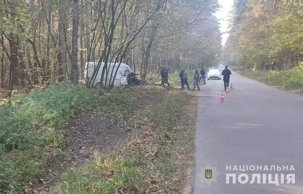 У Луцькому районі автомобіль врізався у дерево – загинуло немовля (фото)