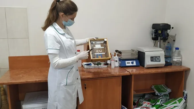 Волинські експерти повідомили, чи можна їсти заражену раком картоплю