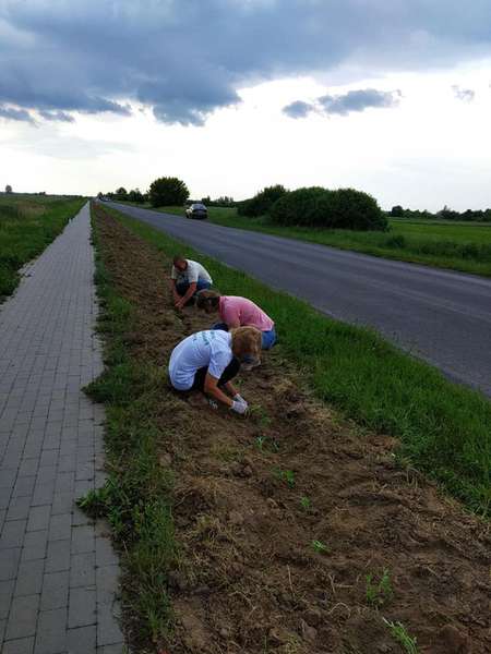 «Квітучий прапор України» збільшився на 2 км і простягнувся вздовж дороги Луцьк-Жидичин