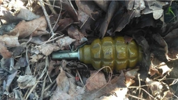 На Ковельщині чоловік підірвав гранату на подвір‘ї односельця (фото, відео)