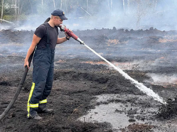 На Камінь-Каширщині зайнялось торфовище: на місці працюють рятувальники (фото)