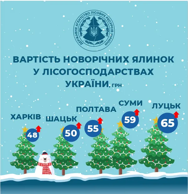 Де і скільки в Україні коштуватимуть ялинки: ціни
