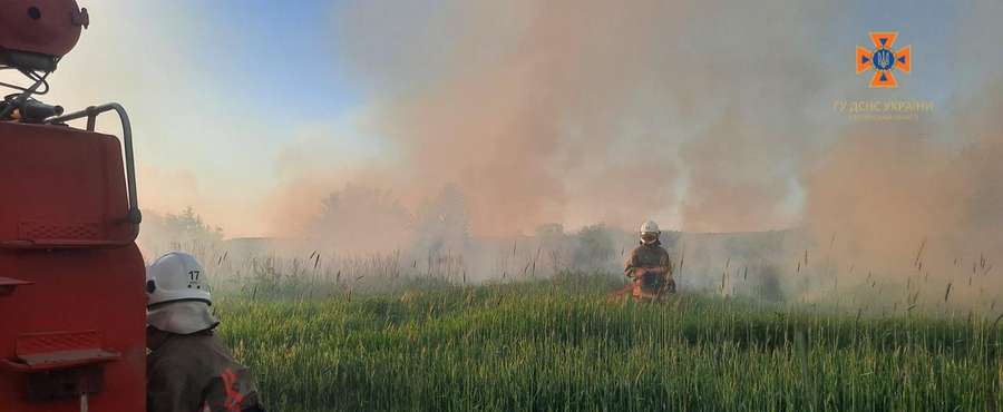 Горіли поля: волинські рятувальники погасили 5 пожеж за день (фото)