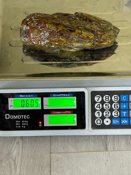 На Волині оскаржили вирок підприємцю, який намагався збути понад 115 кг бурштину (фото)