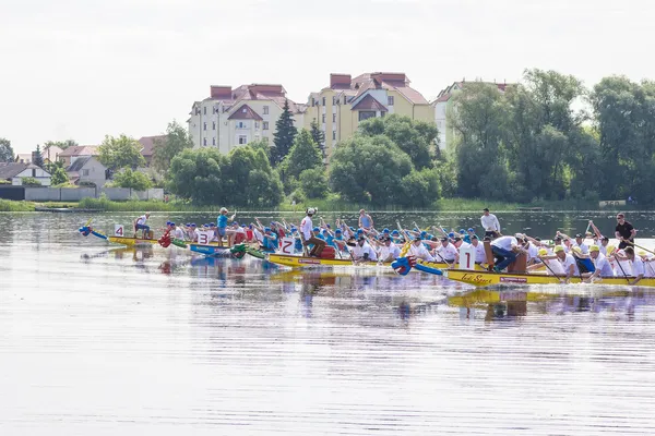 На Волині відбудеться чемпіонат з драганботу 