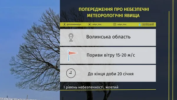 «Жовте» попередження: на Волині прогнозують сильний вітер та ожеледицю