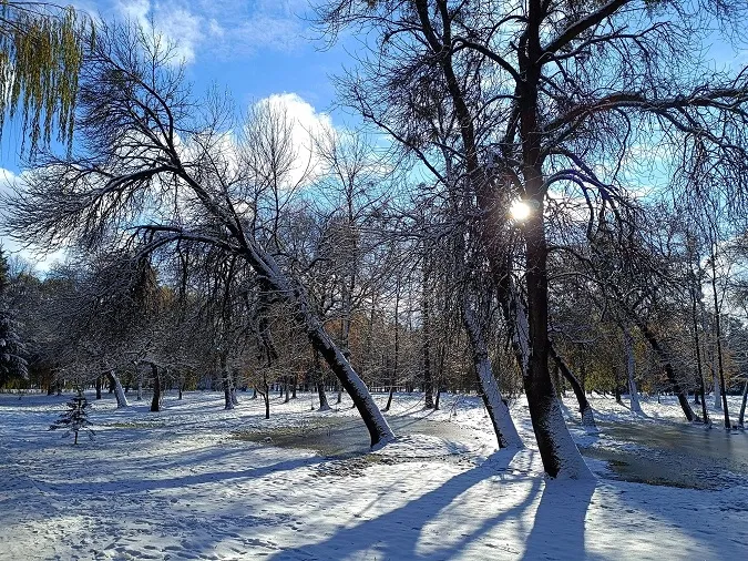 Замок та парк: прогулянка казковим засніженим Луцьком (фото)