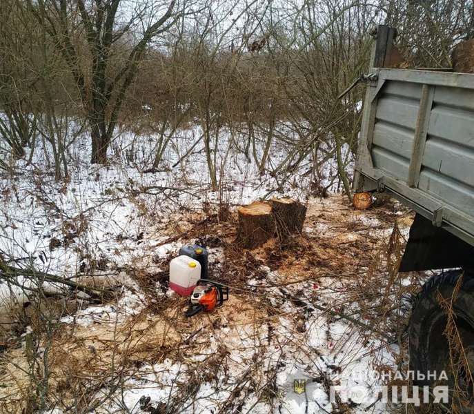 Навантажений ГАЗ: у Луцькому районі незаконно рубали ліс (фото)
