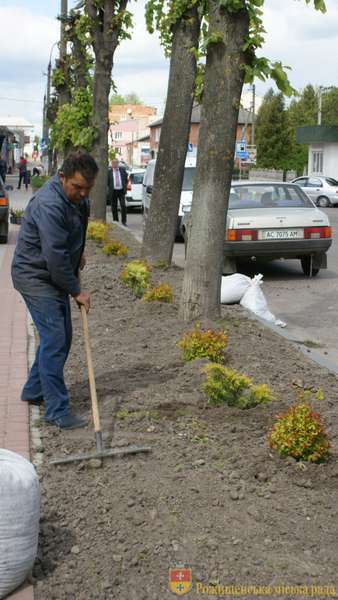 Прибирання вулиць та висадка квітів:  у Рожищі покращують благоустрій (фото)