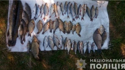 На Волині незаконно наловили понад 300 кілограмів риби (фото)