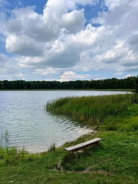 Піщані береги і кришталева вода: на Волині є озеро, де можна і покупатися, і зловити щуку (фото)