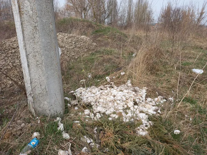 Лучани влаштували сміттєзвалище біля Нового ринку (фото)