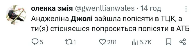 Анджеліна Джолі в ТЦК: добірка найсмішніших мемів