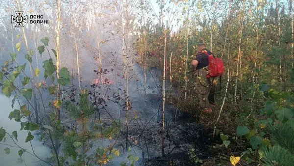 Охопила 10 га: на Камінь-Каширщині спалахнула лісова пожежа (фото)