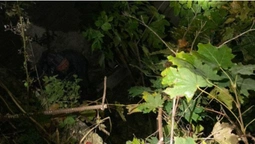 У Луцькому районі рятувальники витягнули з ями чоловіка (фото)
