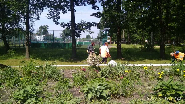 У Ківерцях буревій повалив дерева (фото)