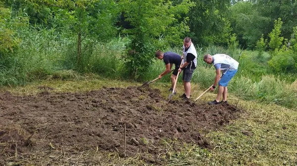 Волонтери працюють на ділянці