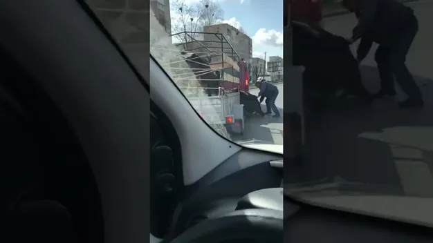 У Ковелі на дорозі з причепа випала корова (відео)