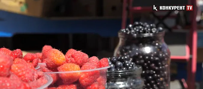 Малина, порічки, смородина та лохина: скільки коштують літні ягоди на луцькому базарі (відео)