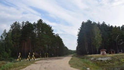На Волині збудували і відновили 70 кілометрів лісових доріг (фото)