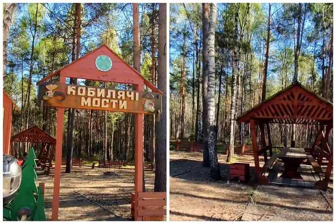 Місце, де застрягали коні: посеред лісу на Волині причаївся пункт відпочинку з цікавою назвою (відео)