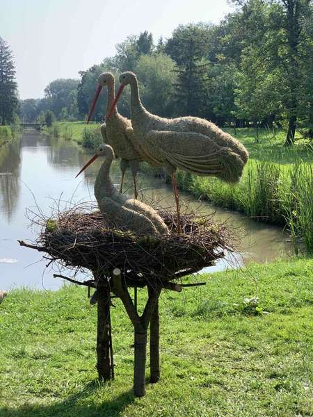 У центральному парку Луцька «оселилися» птахи з трави (фото)