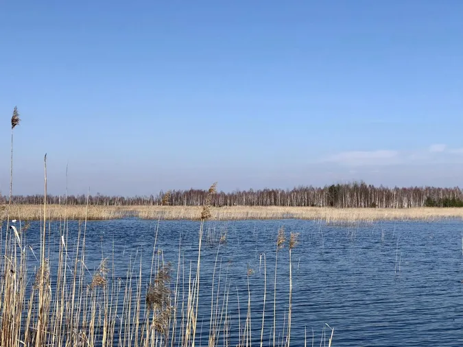 На Волині є невелике мальовниче озеро, де водиться багато риби