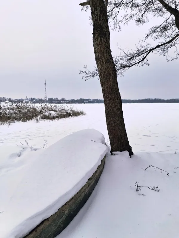 Яким стало популярне серед відпочивальників озеро біля Шацька (фото)