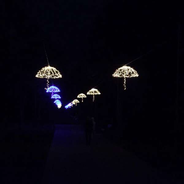 У луцькому парку світитимуться парасольки (фото) 