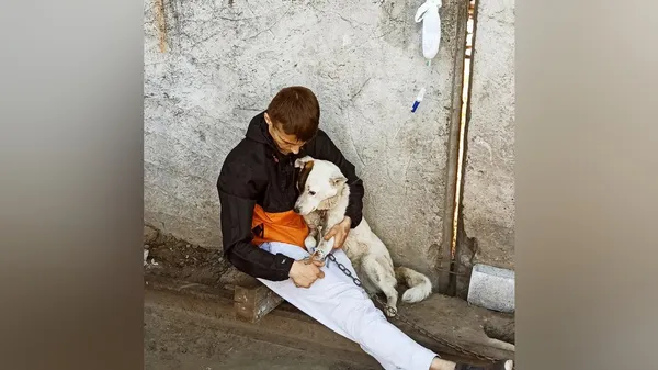 Взяв кредит та відкрив ветклініку: переселенець з Херсона лікує тварин у Луцьку (фото, відео)