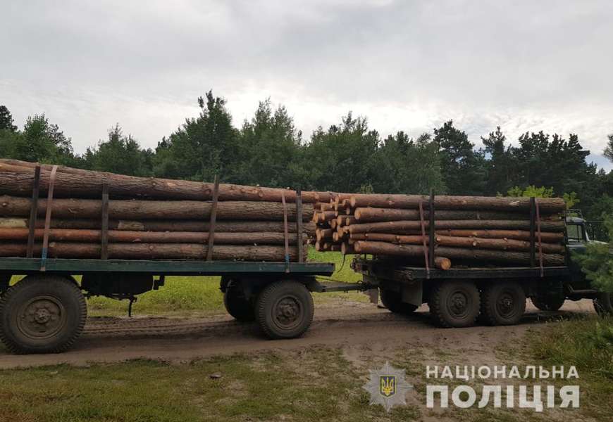 У Ковельському районі зупинили вантажівку з деревиною без документів (фото)