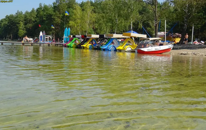 Як проходить оксамитовий сезон на озері Пісочне (фото)