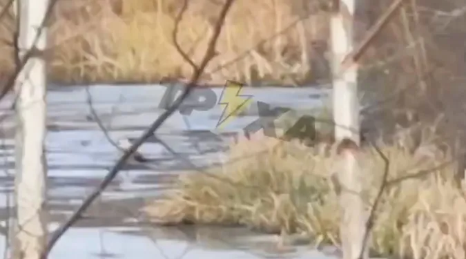 У луцькому парку під лід провалився підліток (відео)