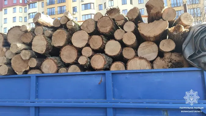 У Луцьку зупинили вантажівку з деревиною без маркування