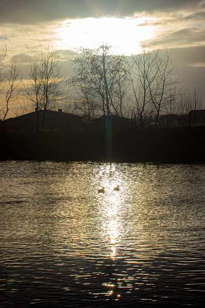 Міжчасся між зимою і весною: ранковий Луцьк у перші дні лютого (фото)