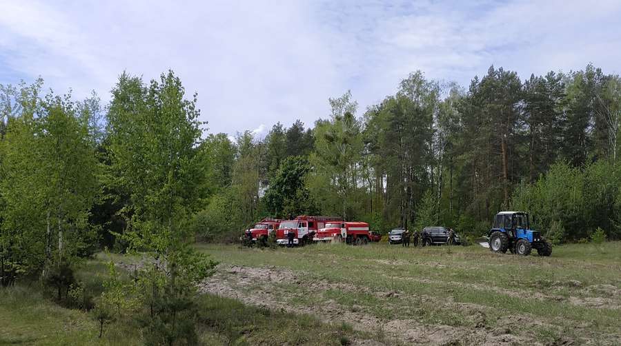 Біля Маневич п'ять машин «гасили» пожежу в лісі (фото, відео)