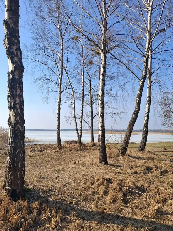 Крига, сонце і весна: Світязь огорнули перші теплі промені (фото)