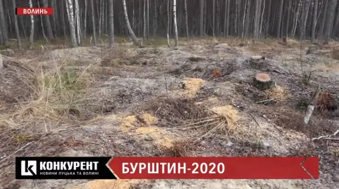 «Сонячне каміння»: що коїться на бурштинових землях Волині (відео)