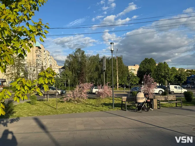 У Луцьку розквітло «боже дерево» (фото)