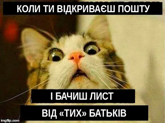 Найсмішніші меми про кінець навчального року