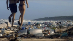 Порно серед пластику: як Pornhub привертає  увагу до забруднення планети (відео)